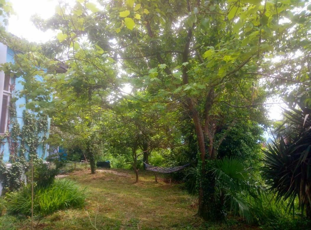 Guesthouse Eco Chakvi Buitenkant foto