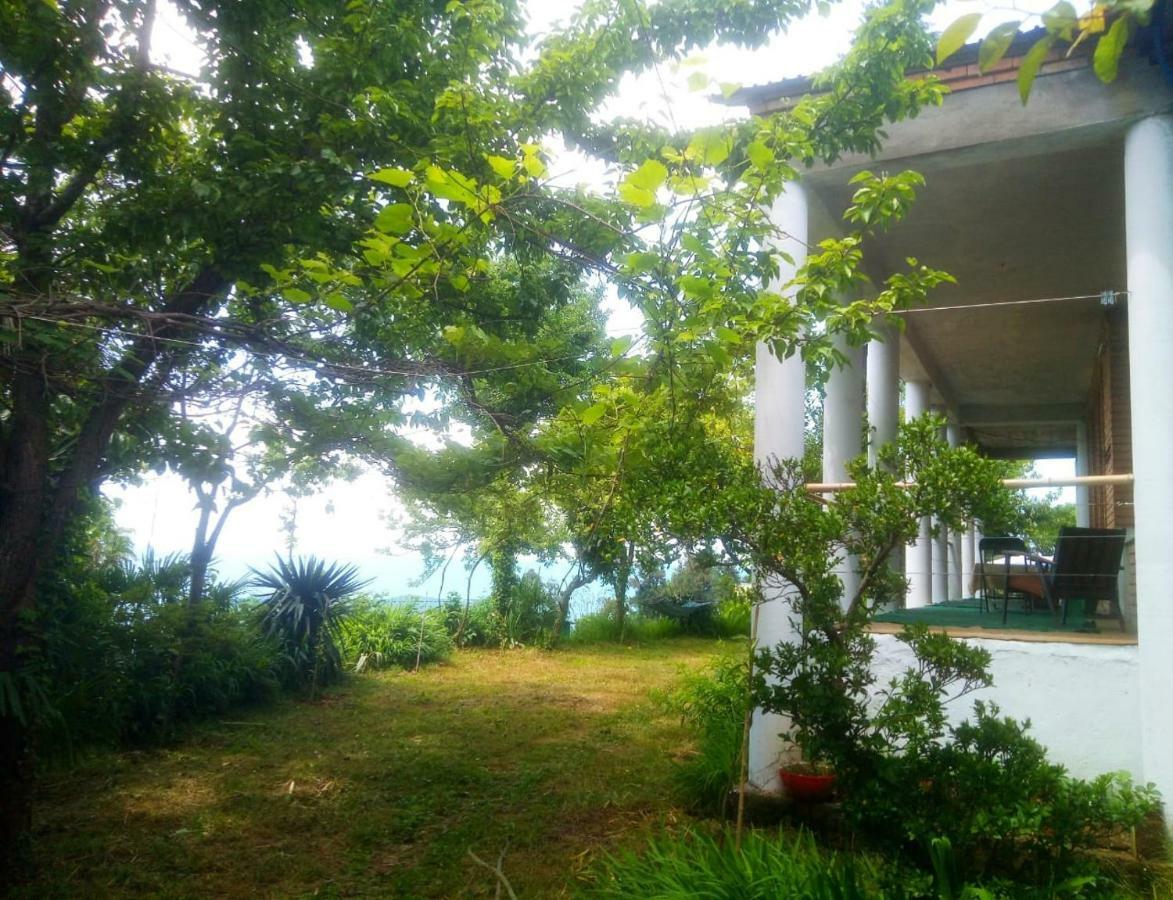 Guesthouse Eco Chakvi Buitenkant foto