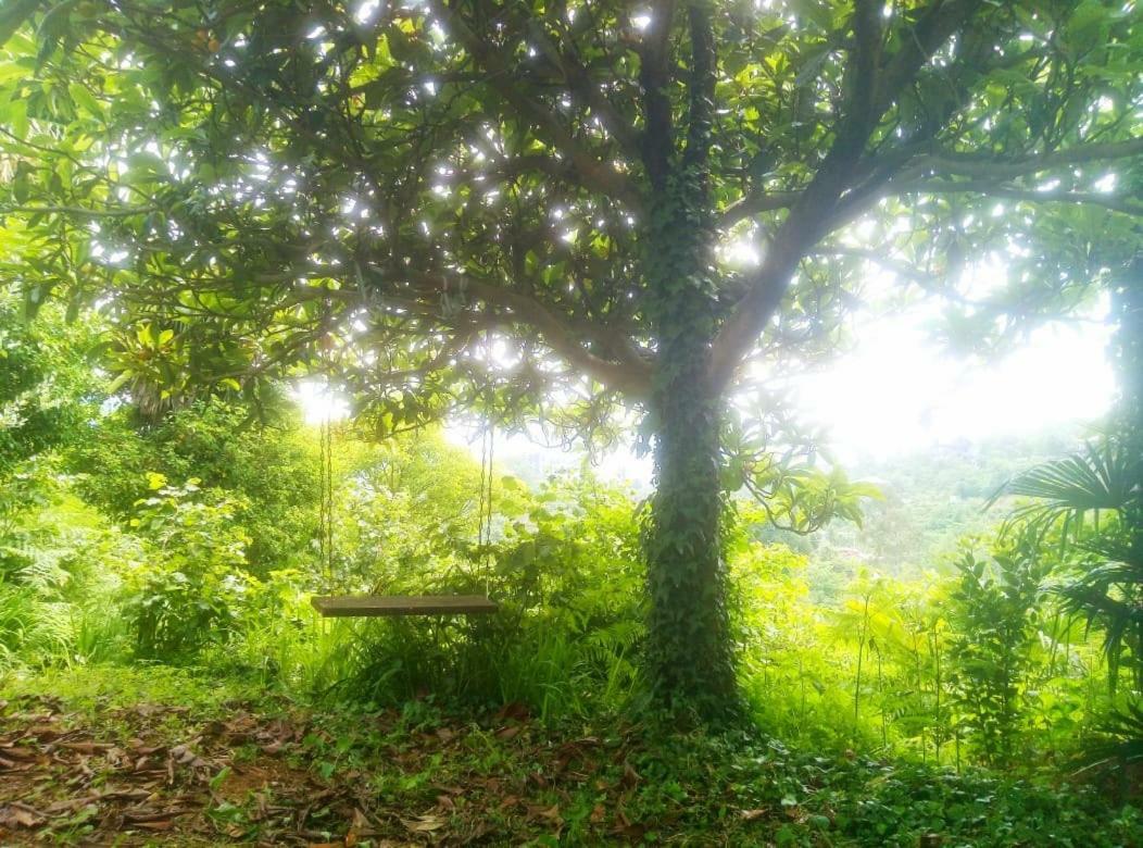 Guesthouse Eco Chakvi Buitenkant foto